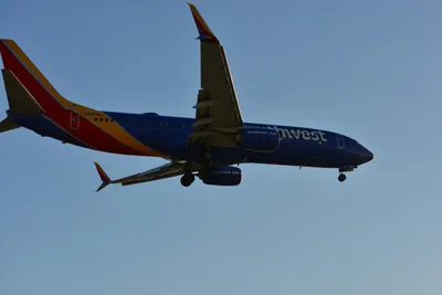 DSC_5677 (Large).JPG